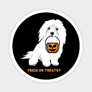 Trick or Treat : Dog Edition Magnet